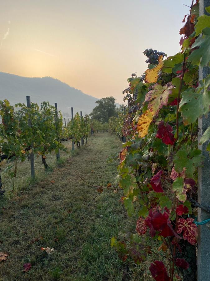 B&B Ai Filari Baone Exteriér fotografie
