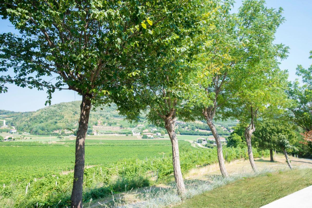 B&B Ai Filari Baone Exteriér fotografie