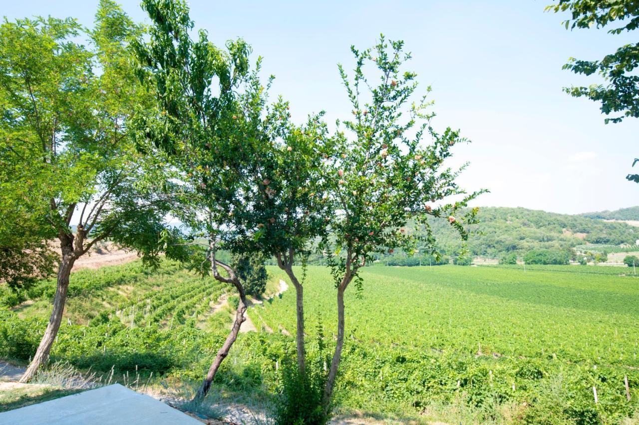 B&B Ai Filari Baone Exteriér fotografie